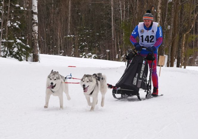 Спортсмен Центра ездового спорта «Altay Spirit» Сергей Васильев стал победителем этапа Кубка Евразии 