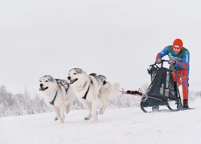 Алтайские спортсмены стали победителями и призёрами гонки «Гиперборея-2023"