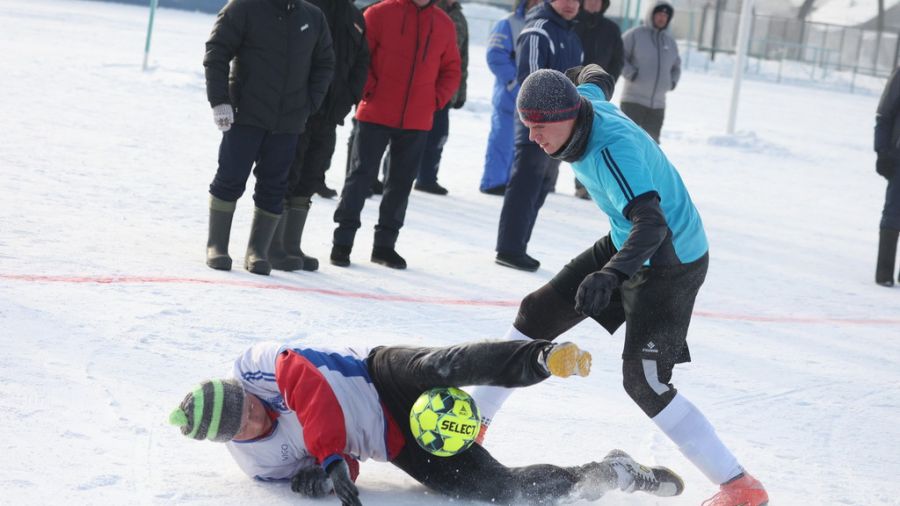 Фото: Олег Богданов/ "Алтайская правда"