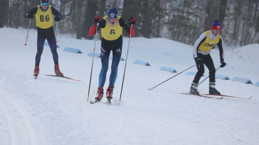 Фото: Олег Богданов/ "Алтайская правда"