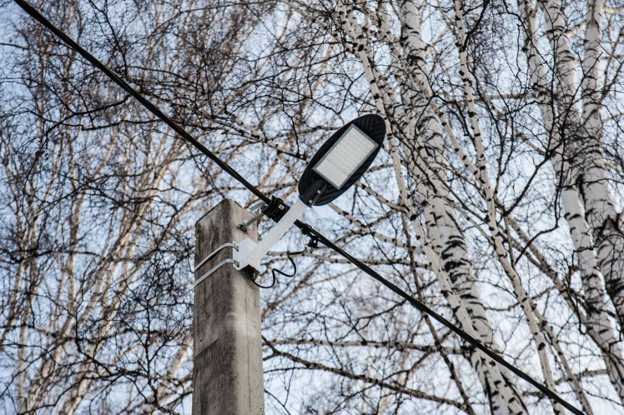 Лыжня в Залесово. Фото: Дмитрий Лямзин