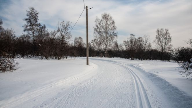 Лыжня в Залесово. Фото: Дмитрий Лямзин
