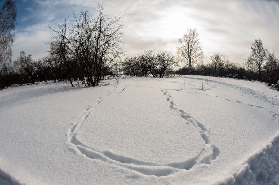 Лыжня в Залесово. Фото: Дмитрий Лямзин