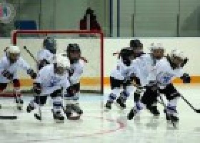 22-24 января. Славгород. Ледовый дворец «Кристалл». Финал краевого турнира «Золотая шайба» среди юношей 2005-2006 годов рождения.