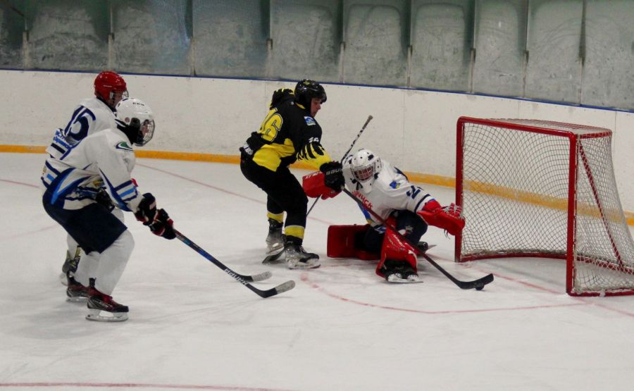 Фото: Олег Харлов / Алтайский спорт