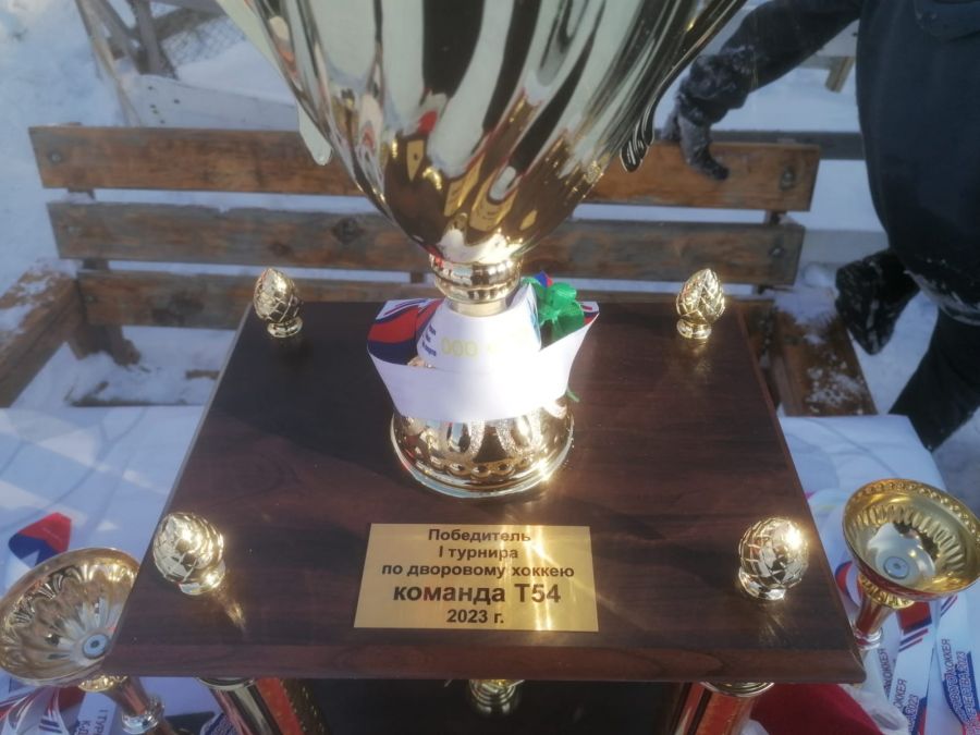 Хоккей пришелся ко двору. В Барнауле завершился детский турнир