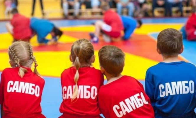 Фото: Всероссийская федерация самбо