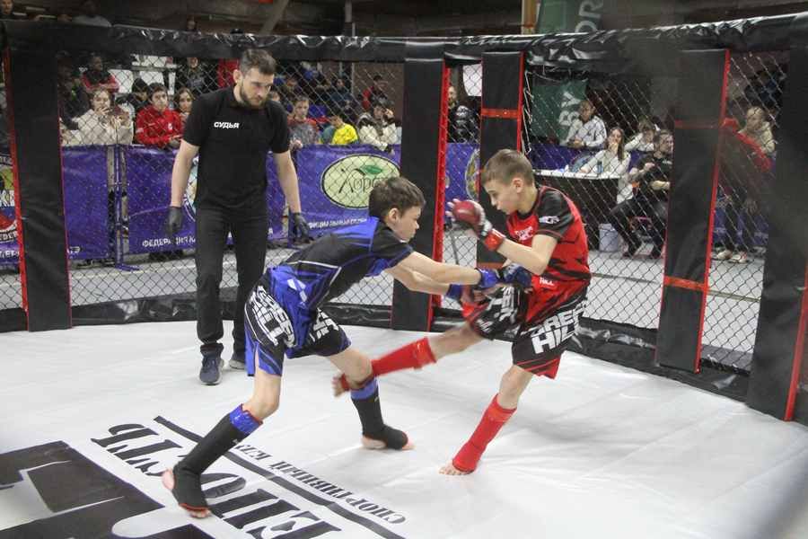 Фото: Ярослав Махначёв