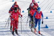 В Тюмени завершился чемпионат России. Алтайский край представляли трое лыжников   