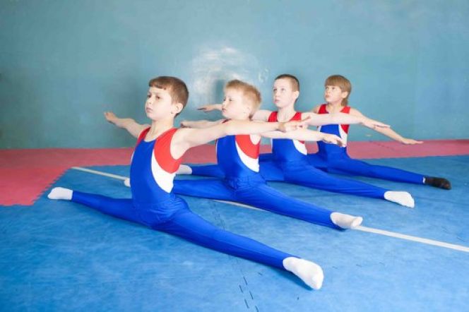 19-20 февраля. Бийск. Спорткомплекс "Заря". Чемпионат и первенство Алтайского края среди юношей.