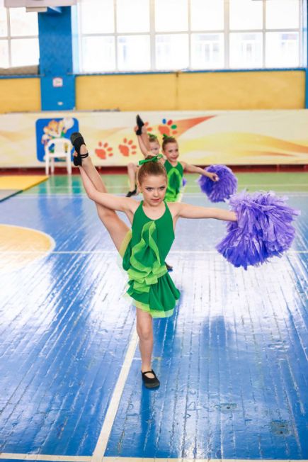 Алтайские команды выиграли три медали на открытом чемпионате Новосибирской области (фото).