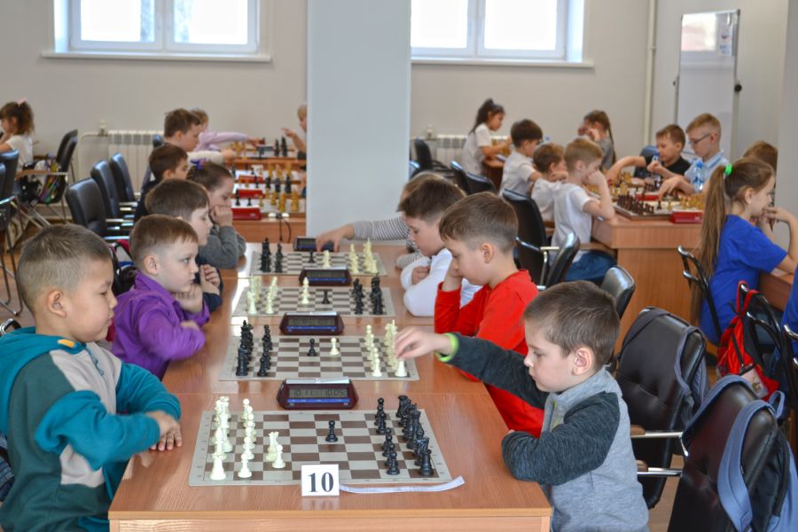 Фото: Федерация шахмат Алтайского края