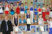 В Бийске состоялись чемпионат и первенство края, приуроченные ко Дню защитника Отечества (фото).