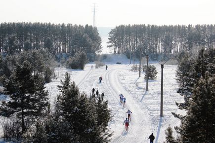 Пять колец Наукограда