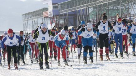 Олимпиада на подворье