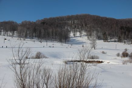 Подарок от «Марии-Ра»