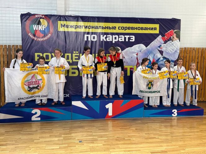 Команда бийской СШ №2 вернулась с россыпью медалей межрегионального турнира по каратэ WKF в Красноярске