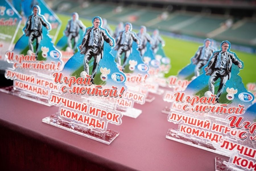 Фото: ДФЛ имени Виктора Горлова 