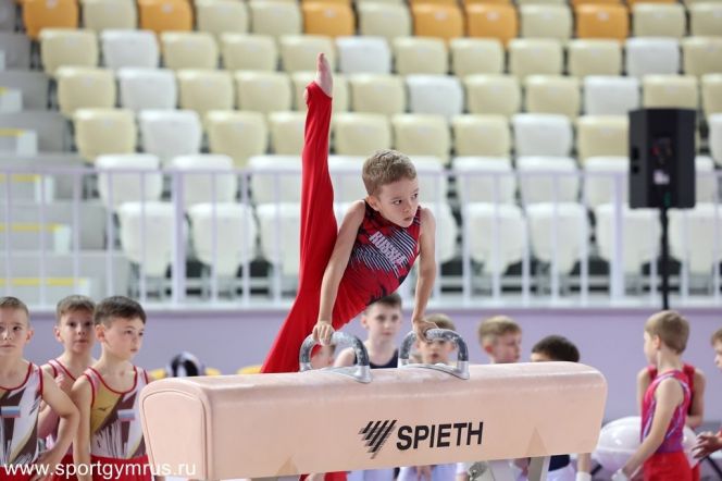 Им светили ярко Сириус и Солнце.  Гимнасты СШОР Сергея Хорохордина приняли участие в «Большом финале»  всероссийского фестиваля «Лига гимнастики»