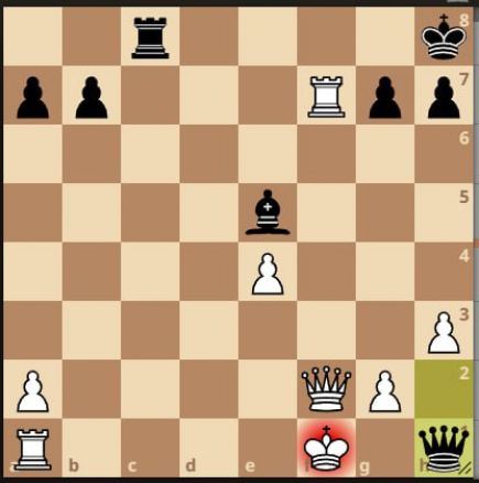 Александр Щербаков из Ребрихи и Татьяна Барабанова из Павловска выиграли рапид среди шахматистов из сёл и малых городов