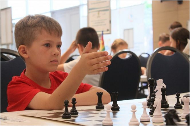 «В свою силу». Итоги командных школьных соревнований «Белая ладья» и «Дебют»