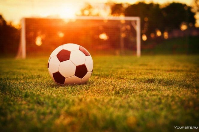 1 июля. Барнаул. Сквер Химиков. Турнир ко Дню ветеранов боевых действий 