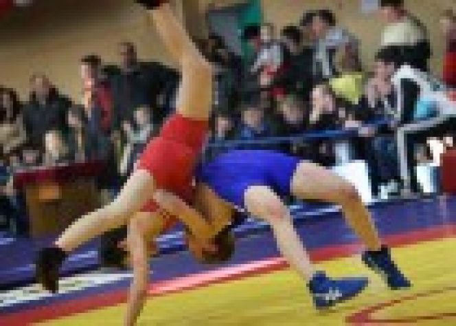 1-2 апреля. Новоалтайск. Спорткомплекс ОАО "Алтайвагон". Турнир памяти Героя Советского Союза Ивана Григорьева.  