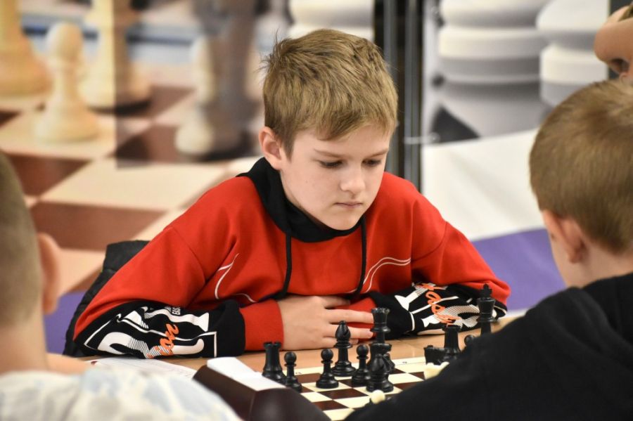 Фото: Федерация шахмат Новосибирской области