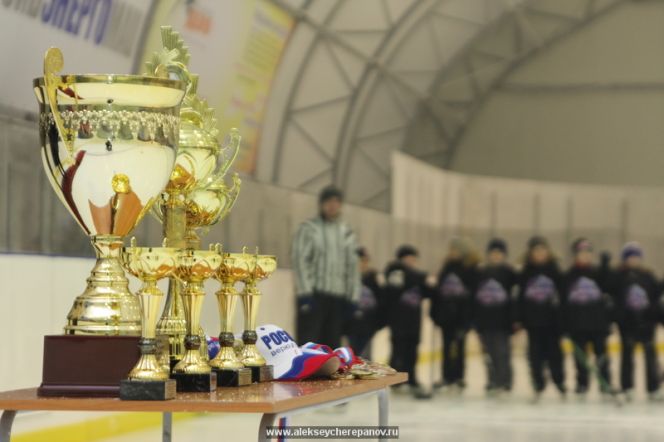 25-28 февраля. г.Барнаул. Региональный турнир по хоккею с шайбой среди юношей 2000-2001 г.р. «Памяти Алексея Черепанова». 
