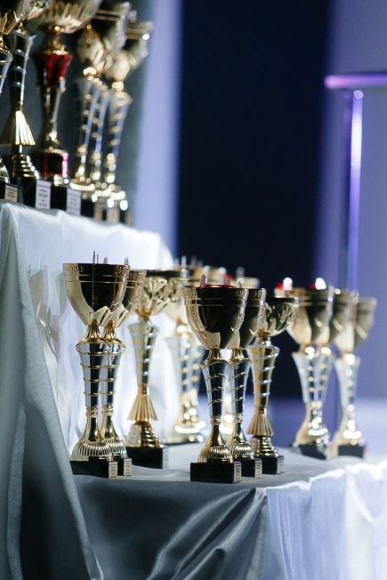 В Барнауле состоялся Открытый кубок Алтайского края по бодибилдингу, бодифитнесу и фитнес-бикини (фото). 