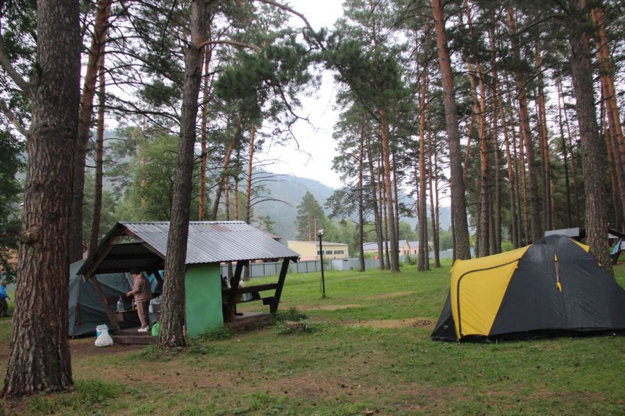 Фото: Виталий Дворянкин/ "Алтайский спорт"