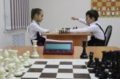 Ещё шесть новых клубов. Краевая федерация шахмат получила грант на 2,5 млн рублей