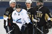 Любительские команды смогут сыграть за поездку в Сочи. В Алтайском крае началась заявочная кампания Ночной хоккейной лиги