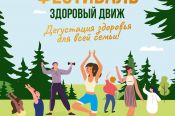 27 августа в Барнауле состоится первый семейный фестиваль «Здоровый Движ» 