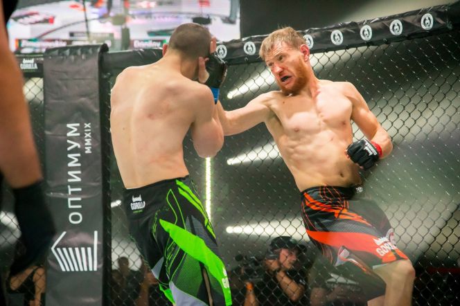 Фото: Open Fighting Championship