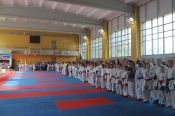 Сезон стартовал в Бийске. В наукограде прошёл межрегиональный турнир по каратэ WKF