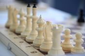 В Алтайском крае стартовал конкурс творческих работ, посвящённых шахматам