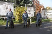 Командная работа: кинологи-полицейские Алтайского края привезли бронзу с чемпионата России