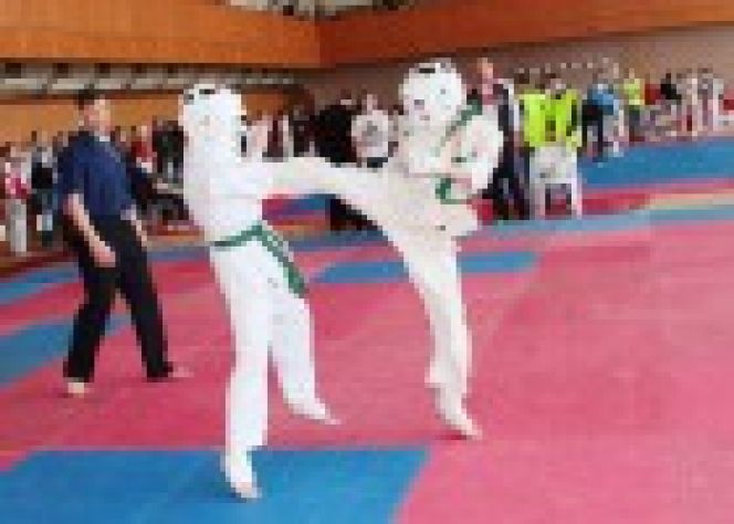 3-4 июня. Барнаул. Дворец зрелищ и спорта им. Г.С. Титова. VII международный детско-юношеский фестиваль единоборств «Детям планеты – мир без наркотиков».