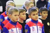 В турнире на призы Андрея Степурко приняли участие более 180 юных спортсменов