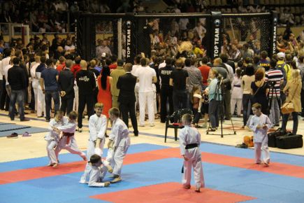 В Барнауле прошли VII международный фестиваль единоборств «Детям планеты – мир без наркотиков» и II олимпиада боевых искусств «Сибирь – Азия» (фото).