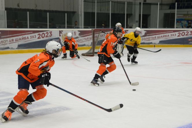 Хоккейная команда девочек  «Сибирские лисы» - бронзовый призёр всероссийского турнира «Золотая шайба» «3×3»