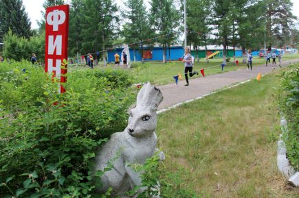Всероссийский олимпийский день 18 июня провели в трёх населённых пунктах Алтайского края (фото).