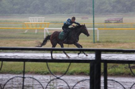 За медалями на лошадях