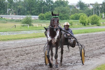 За медалями на лошадях