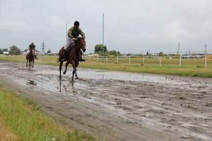 За медалями на лошадях
