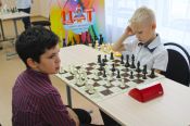 В Центре детского творчества Заринска открылся шахматный клуб (фото)