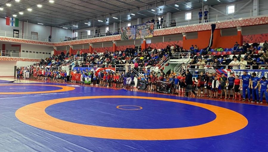 Спортсмены Алтайского края завоевали 12 медалей на Кубке России 