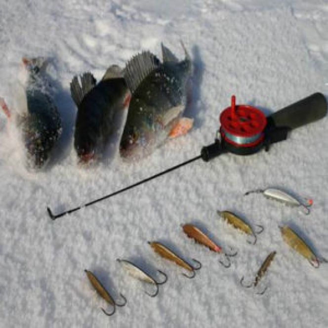 17 декабря. Озеро Уткуль, Троицкий район. Кубок  Алтайского края по ловле на блесну со льда памяти Валерия Золотухина-2023