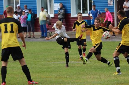 Большая спортивная семья